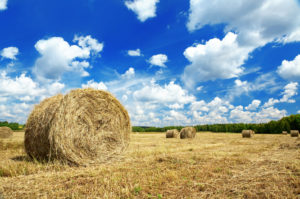 Harvest
